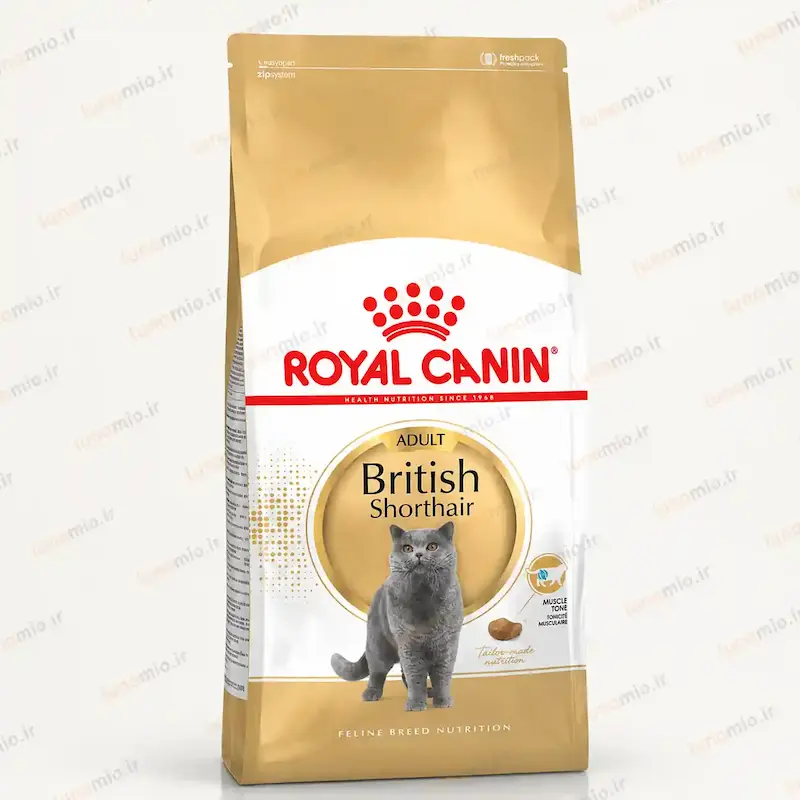 غذای خشک گربه بریتیش شورت‌هیر رویال کنین British Shorthair Adult