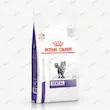 غذای خشک گربه رویال کنین دنتال کر Royal Canin Dental Care