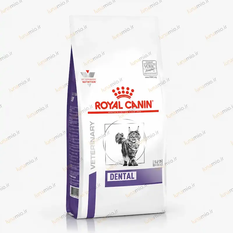 غذای خشک گربه رویال کنین دنتال کر Royal Canin Dental Care