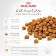 غذای خشک گربه رویال کنین دنتال کر Royal Canin Dental Care