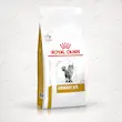 غذای خشک رژیمی گربه رویال کنین یوریناری S/O Royal Canin Urinary S/O