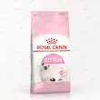 غذای خشک بچه گربه رویال کنین Kitten Royal Canin
