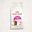 غذای خشک گربه بدغذا رویال کنین فوسی اگزیجنت Royal Canin Fussy Exigent
