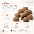 غذای خشک گربه بدغذا رویال کنین فوسی اگزیجنت Royal Canin Fussy Exigent
