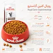 غذای خشک رژیمی گربه رویال کنین گاسترو Royal Canin Gastrointestinal