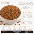 غذای خشک گربه بالغ رفلکس پلاس گورمت با مرغ Reflex Plus Gourmet Adult Cat Food with Chicken