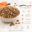 دانه غذای خشک گربه بالغ ونپی سالمون بدون غلات