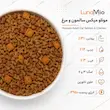 دانه غذای خشک گربه مونلو میکس سالمون و مرغ