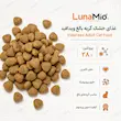 دانه غذای خشک گربه بالغ ویدافید با اینفوگرافیک
