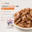 غذای تر رویال کنین استریلایزد مخصوص گربه بالغ عقیم‌شده