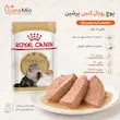 غذای تر رویال کنین پرشین مخصوص گربه پرشین بالغ