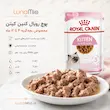 غذای تر رویال کنین کیتن مخصوص بچه‌گربه ۴ تا ۱۲ ماه