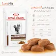 غذای تر دامپزشکی رویال کنین گسترو فیبر برای گربه بالغ