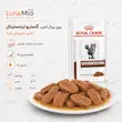 غذای تر دامپزشکی رویال کنین گاسترو اینتستینال برای مشکلات گوارشی گربه