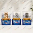 پوچ پته یامیکس گربه بالغ ۸۵ گرم در سه طعم مرغ، گوشت گاو و مرغ و گوشت گاو
