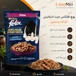 اینفوگرافیک پوچ فلیکس میت اسلایس اردک در سس ۷۵ گرم بسته بندی روسی