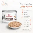 اینفوگرافیک کنسرو ریکاوری رویال کنین ۱۹۵ گرم با آنالیز تغذیه‌ای