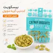 اینفوگرافیک بیسکویت کت نیپ گربه مچول ۴۰ گرم