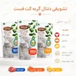 اینفوگرافیک تشویقی دنتال گربه کت فست ۳۰ گرم در سه طعم