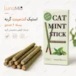 اینفوگرافیک استیک کت‌مینت گربه ۶ عددی