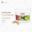 اینفوگرافیک مولتی ویتامین گربه بیفار تاپ ۱۰ و نحوه مصرف