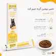 اینفوگرافیک خمیر بیوتین گربه جیم کت ۵۰ گرم برای پوست و مو