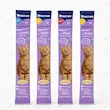 بستنی گربه وینستون در چهار طعم ماهی مرغ گوشت و پنیر