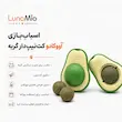 اینفوگرافیک اسباب‌بازی آووکادو کت‌نیپ‌دار گربه برای بازی و سرگرمی