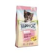 غذای خشک kitten happycat