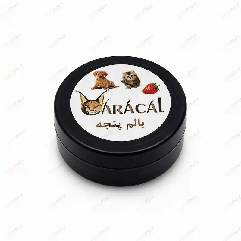 بالم پنجه سگ و گربه کاراکال با رایحه توت فرنگی
