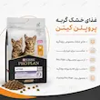 اینفوگرافی غذای خشک بچه گربه پروپلن کیتن با مرغ