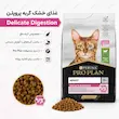 اینفوگرافی غذای خشک گربه پروپلن دلیکیت دایجسشن با بره