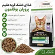 اینفوگرافی غذای خشک گربه عقیم پروپلن بوقلمون رنال پلاس