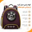 اینفوگرافی کوله پشتی حمل گربه جلو شفاف بادمجانی با طراحی کوله‌ای و تهویه جانبی