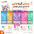 اینفوگرافی بستنی گربه ونپی ۵ عددی چینی‌نویس با طعم‌های متنوع