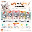 اینفوگرافی بستنی گربه ونپی انگلیسی‌نویس در پنج طعم و بسته ۷۰ گرمی