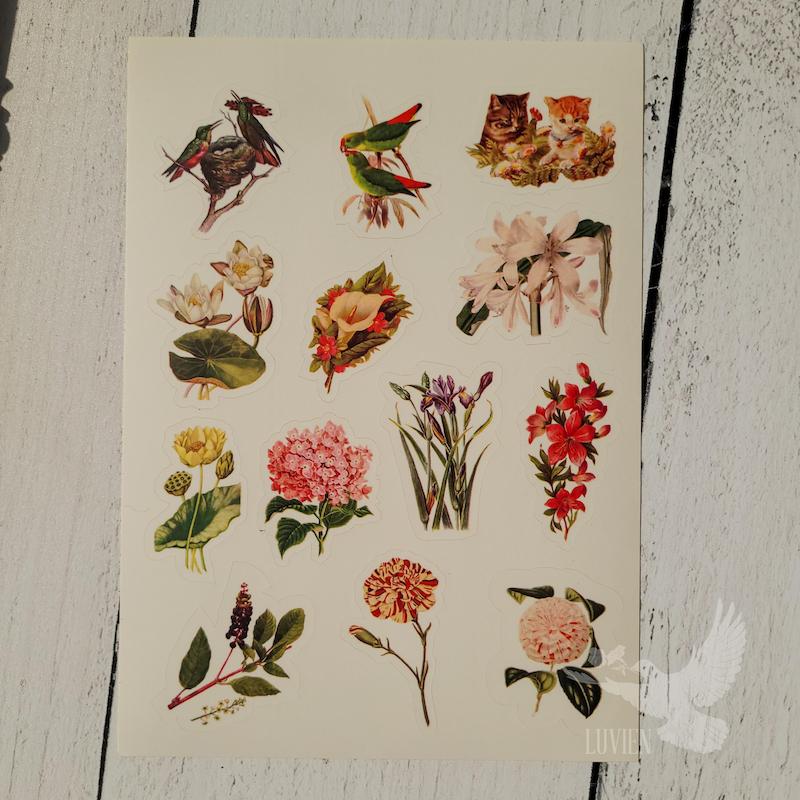 ۲طرح استیکر بوتانیک