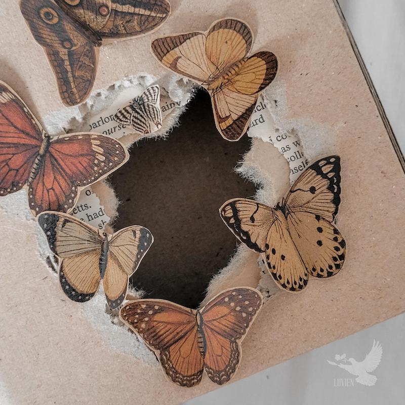 جعبه پروانه 