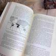 کتاب COMMODITIES AND WORLD TRADE