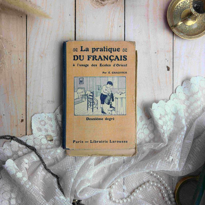 کتاب la pratique du francais