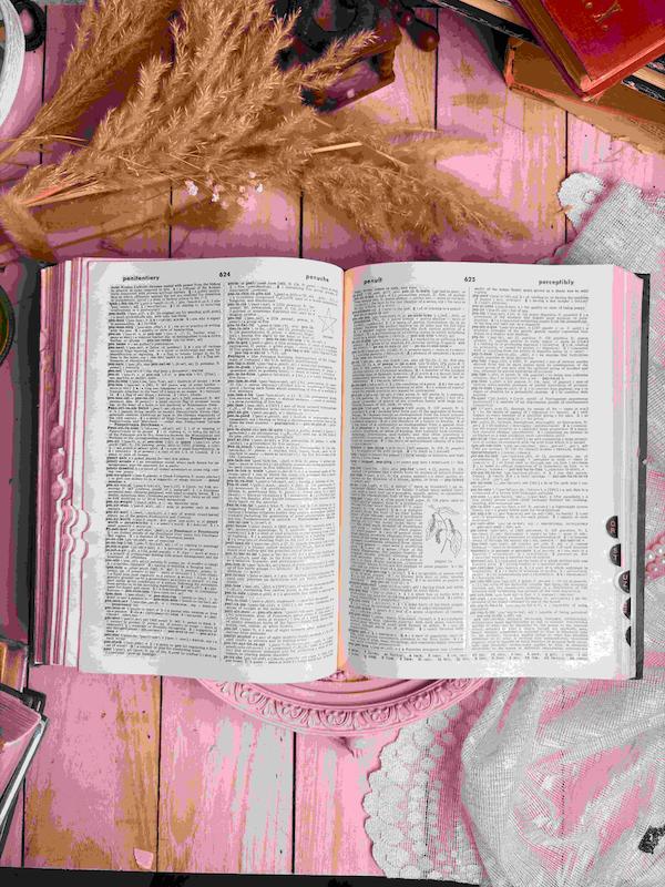 Websters seventh new collegiate dictionary 