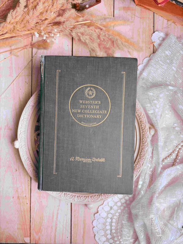Websters seventh new collegiate dictionary 