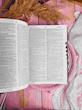 Websters seventh new collegiate dictionary 