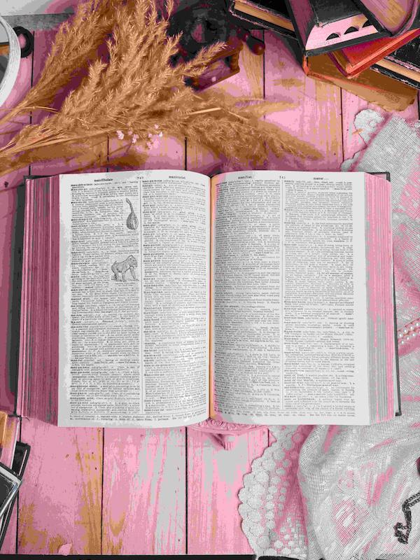 کتاب THE AMERICAN COLLECE DICTIONARY