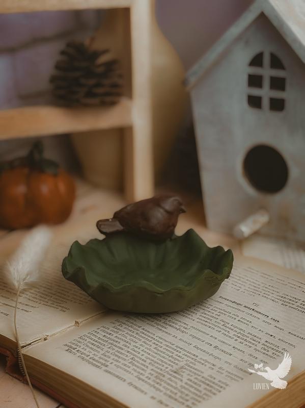 ظرف گنجشکی🪺