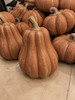 کدوهای پاییزی 