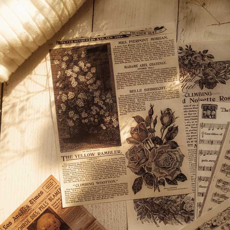 پک ephemera 