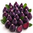میوه انجیر هندی تازه    انجیر هندی قرمز برش‌خورده    طرز پوست گرفتن انجیر هندی    اسموتی انجیر هندی    سالاد میوه با انجیر هندی    انجیر هندی روی درخت کاکتوس    دسر تهیه‌شده با انجیر هندی