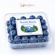 بلوبری ممتاز | blueberry