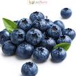بلوبری ممتاز | blueberry